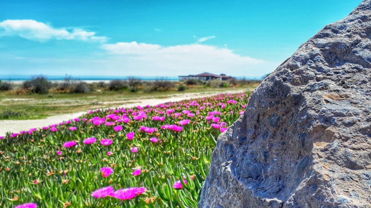 Atico Pinar De Garrucha Con Vistas Al Mar-Gran Terraza Leilighet Eksteriør bilde